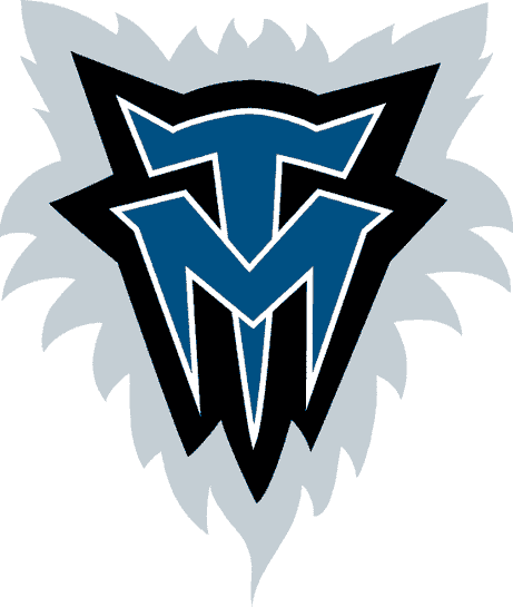 Minnesota Timberwolves 1996-2008 Alternate Logo t shirts iron on transfers v2
